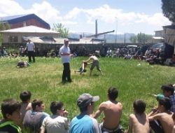 215 pehlivan çayıra çıktı